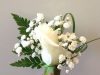 Boix Bertran Flors Plantes Platja D’Aro