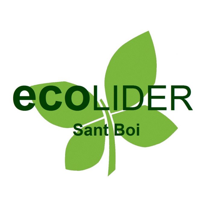 Ecolider Soluciones Informáticas Sant Boi De Llobregat