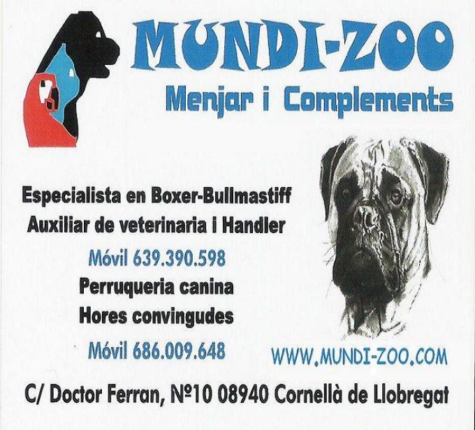 guia33-cornella-animales-mascotas-peluqueria-canina-mundi-zoo-cornella-14811.jpg