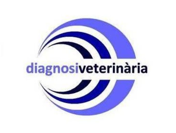 guia33-cornella-veterinario-diagnosi-veterinaria-cornella-13995.jpg
