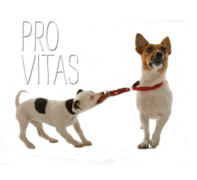 guia33-esplugues-de-llobregat-veterinario-provitas-clinica-veterinaria-esplugues-14442.png