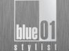 guia33-molins-de-rei-peluqueria-unisex-blue-01-stylist-molins-de-rei-11938.jpg