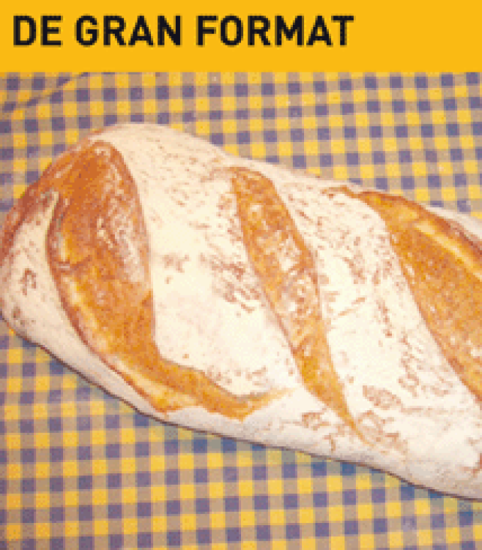 guia33-palleja-panaderia-fleca-rosell-5660.gif