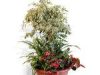 guia33-sant-joan-despi-floristeria-jardineria-eix-jardiner-4115.jpg